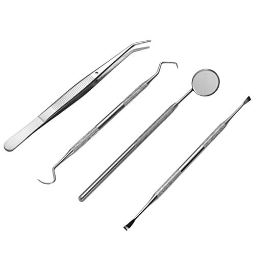HEALLILY Kit de Higiene Dental Com 4 Removedor de Raspagem de Aço Inoxidável para Palito de Dente Pa