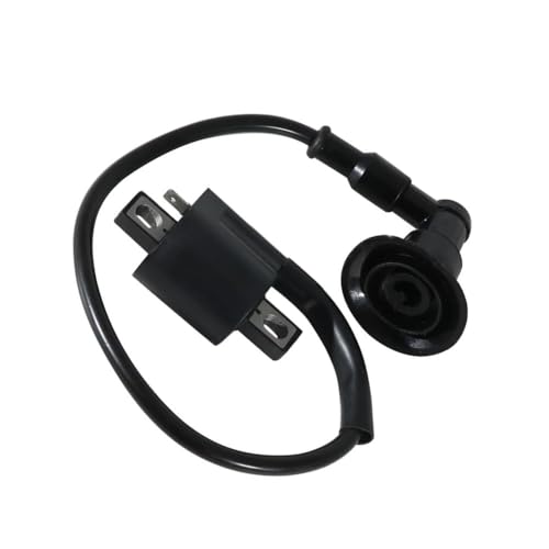 Bobine d'allumage résout les ratés moteur pour 50 et 100RS