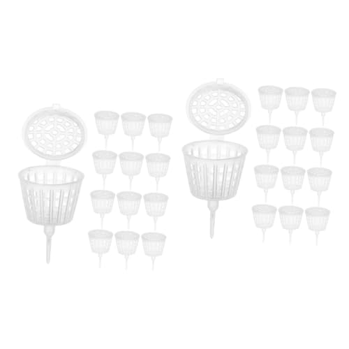 KONTONTY 2 Series Cajas De Fertilizante Para Bonsáis De Contenedores Transparentes Con Tapa Reutilizables Y Resistentes Para Plantas De Jardín Y Macetas Protección Efectiva 30 Piezas*2