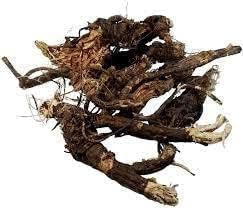 Miniatura 3 de Orlova OSHA Root  Ligusticum Porteri  Raíz de Oso - (400 GM) por Beleza Store