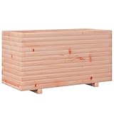 vidaXL Pflanzkübel, Blumenkübel mit Holzrahmen, Blumenkasten für Terrasse Garten, Pflanzkasten Hochbeet Pflanzgefäß, Massivholz Douglasie