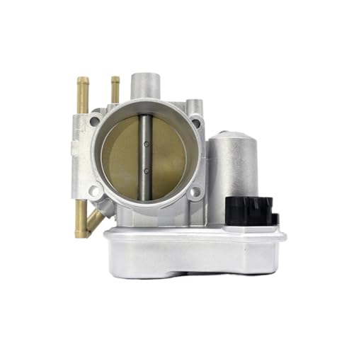 How to clean a throttle body Throttle 0825233 0825248 09128518