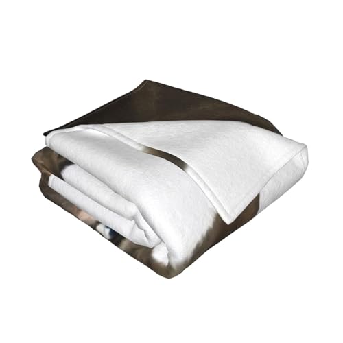 Couverture en micro-polaire âne plaid flanelle doux lit canapé