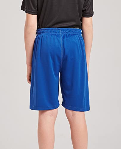 Danichins Boys Loose Athletic Moisture Wicking Shorts Performance Mesh Shorts (Blue,Grey,7) #TOP5