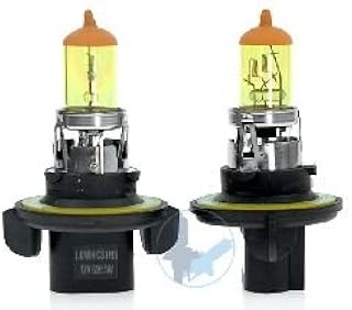 Golden Yellow 100w ONE Pair Halogen H13 Fog Light Bulbs for 07 08 Hyundai Sonata/ 05 06 07 08 09 Hyundai Tucson/ 03 04 05 06 07 08 Isuzu Ascender/