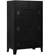 Amazon.com: vidaXL Storage Chest, Metal Storage Cabinet with 4
