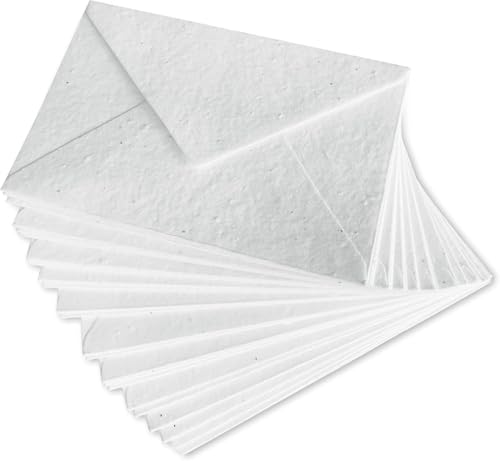 Papier enveloppe plantable fleurs sauvages Wanderings pour rendre un hommage mémorable
