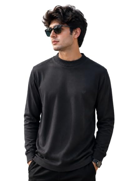 Buy MNO Men's Mock Turtleneck Sweater Full Sleeve Casual Knit