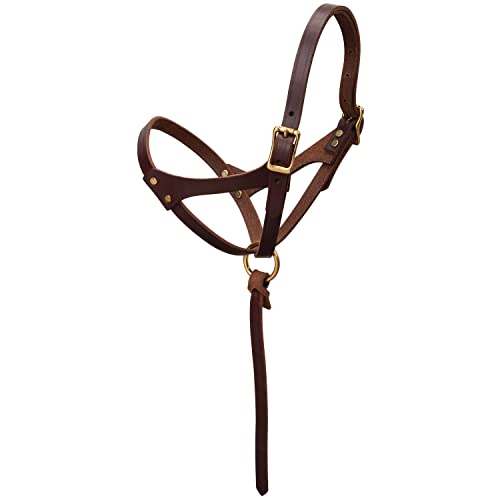 Weaver Leather Figure 8 Foal Halter 5/8 Suckling Oiled Canyon Rose