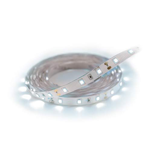 LATE 0278 - Tira de luces led decorativas (5 m, 300 CW, 6500 K, 24 W)
