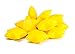 Twinkle Twinkle Little Star... Because Everybody Has Potential To Be A Shining Star! 1 Dozen 3" Dancing Stars Bulk Stress Relief Toys, Stress Squeeze Neon Yellow Stars