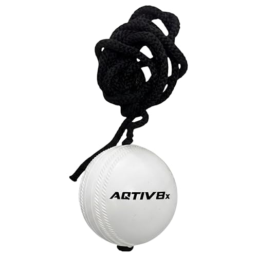 Image of PVC Hanging Cricket Ball for Practice /Training for Men, Women, Boys, Girls & Kids Home Practice Balls Ideal for Indoor & Outdoor Batting, Heavy Training