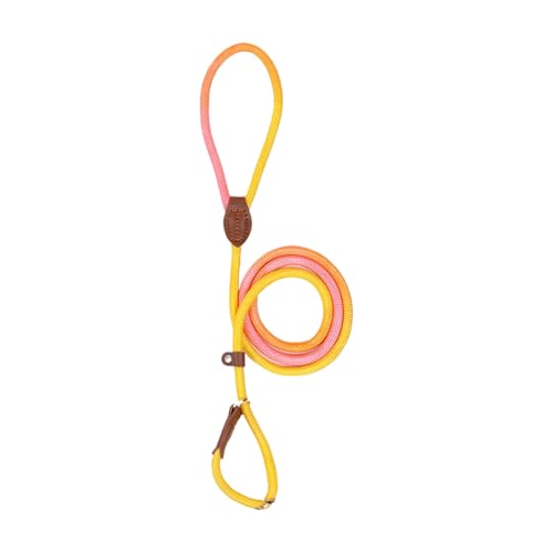 Haustiergurt, Hundegurt im Freien - Welpen Walk -Gurt Nylon Seil ohne Zug - Anti-Slip-Hochfest im Freien Kleine mittelgroße Hundezubehör Zum Gehen, Camping