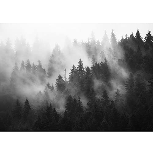 Runa Art Papel tapiz fotográfico bosque de niebla 352 x 250 cm Lana Fondo De Pantalla XXL Moderna Decoración De Pared Sala Cuarto Oficina Salón Negro y blanco 9552011c