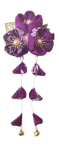 �w�A�s�� ������ �a���t�����W�w�A�s�� ���g�� �w�A�A�N�Z�T���[ ���蕗 ���F �p�[������t�� �������킹 �ʐ^�p ������ ���� ���� �B�e �R�X�v�� ���� ���� �N���X�}�X (�p�[�v��)