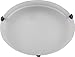 Whitfield FM10-12AWEBZ Carter 12-Inch Two-Light Flush Mount, Ebony Bronze with Acid Wash Glass