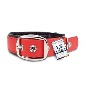 PetTec Collar for large and small dogs made of Trioflex™ | Weatherproof | Red, Brown, Black and Bright Orange (Collar Size M (42 – 52 cm in diameter)