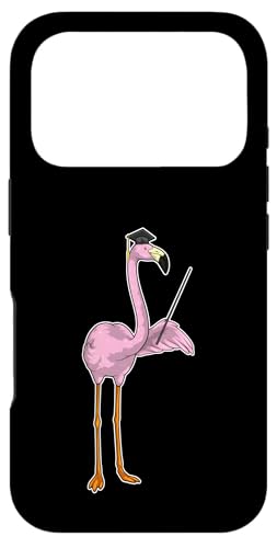 t~S 搶 w_ wZ X}zP[X iPhone 17 Pro p