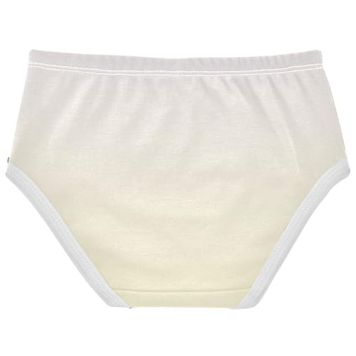 Joisal Magnolia Lemon Chiffon Gradient Panties Little Girl Girls Underwear Toddler Cotton Flower Briefs Kids Undies 2t2