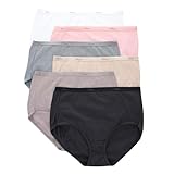 Hanes Women's 6 Pack Core Cotton Panty-neutrals briefs underwear, Neutrals, Large US