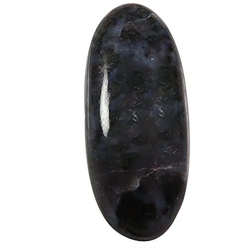 Cabochon en jaspe naturel de 33,3 carats Gabbro Qh23