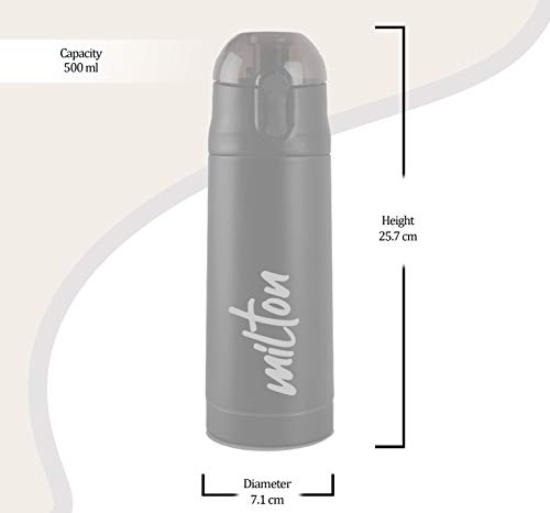 Milton Insulated Water Bottle 16 oz (500 ml) Stainless Steel Double Walled Vacuum Flask Hot and Cold Drinks, Leak Proof Spout Lid, Office, Gym, Hiking, Travel Bottle New Crown 600 Red