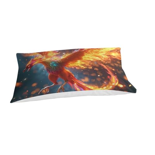 Housses de couettes ptérosaure de feu 3D microfibre lit single