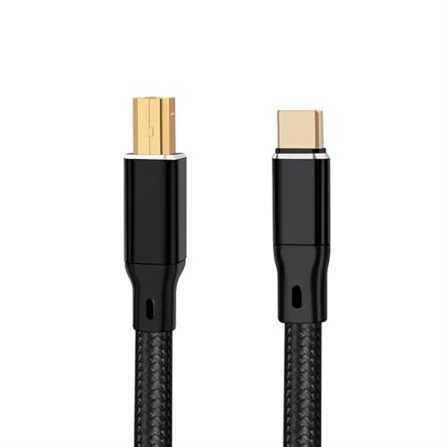 Câble audio numérique Type C vers Type B HiFi OCC argent 0.5m