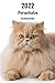 2022 Perserkatze Taschenkalender: 143 Seiten, DIN A5 | 14 Monate Kalender | Terminplaner | Tagebuch | Terminkalender | Wochenkalender | Organizer für Katzenliebhaber