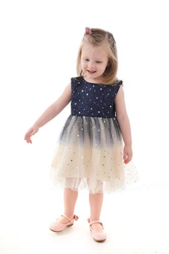 Glamulice Princess Navy Blue Infant Holiday Dress Baptism Christening Sparkle Tulle Ombre Champagne Newborn Baby Flower Girls Lace Bridesmaid Dresses Set Birthday Wedding Party Outfit 0-6 Tutu 3M #TOP4
