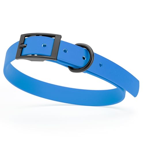 Image of Dogline Biothane Waterproof Dog Collar Strong Coated Nylon Webbing with Black Hardware Odor- Proof for Easy Care Easy to Clean High Performance Fits Small Medium or Large Dogs, Cerulean Blue