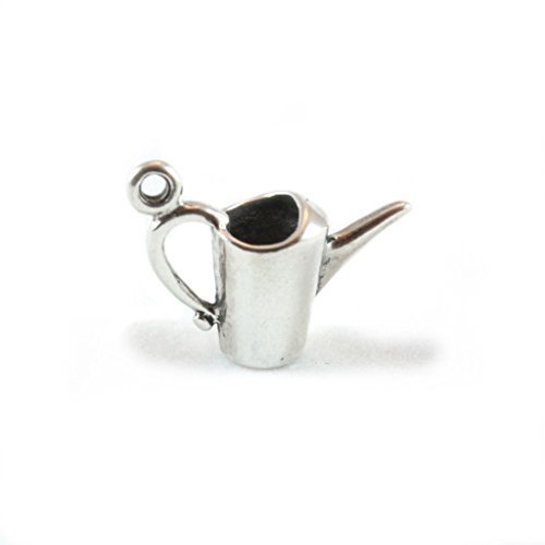 Plata de Ley Riego Can Charm