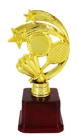 Badminton Award and Trophy (B09275YJF3) Amazon Price History, Amazon Price Tracker