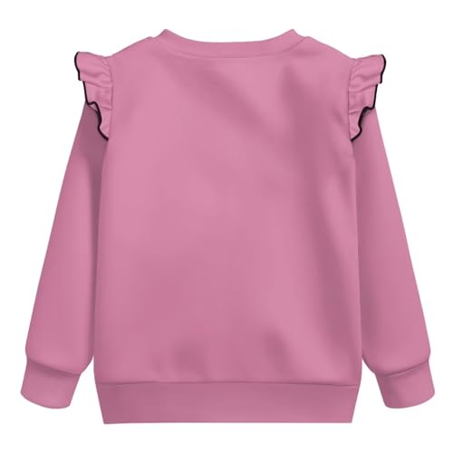 Long Sleeve Sweatshirt for Girls 3-8 Years Round Neck Sweaters Causal Pullover Tops Comfort Fall Winter Clothes2