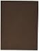 Darice 1194-52 FOAMIES Sheet Light TAN 2MM 30CMX45CM, Multicolor