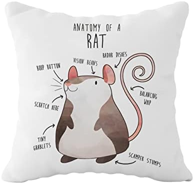 Anatomy of A Rat Decorative Throw Pillow Case Cover 18 x18 Inch, Funny Quote Cartoon Drawing Pet Rat Decorations for Home Bedroom Girl Room Dorm Office, Rat Gifts for Rat Lovers