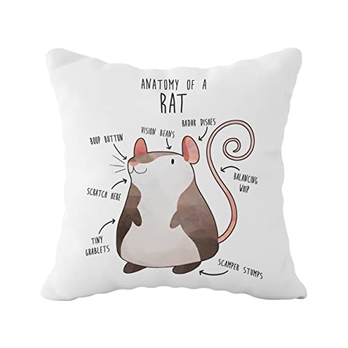 Anatomy Of A Rat Decorative Throw Pillow Case Cover 18 X18 Inch, Funny Quote Cartoon Drawing Pet Rat Decorations For Home Bedroom Girl Room Dorm Office, Rat Gifts For Rat Lovers #TOP1