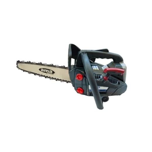 Ama Motosega da Potatura AMX 26.10C 25 cc con Barra Carving da 25 cm, Leggera e Maneggevole per Uso Semi-Professionale e Privato