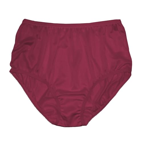 Image of Teri Women's 331 Plain Jane Classic Nylon Silky-Smooth Lightweight Breathable Full Coverage Brief Panty - 4 Pack