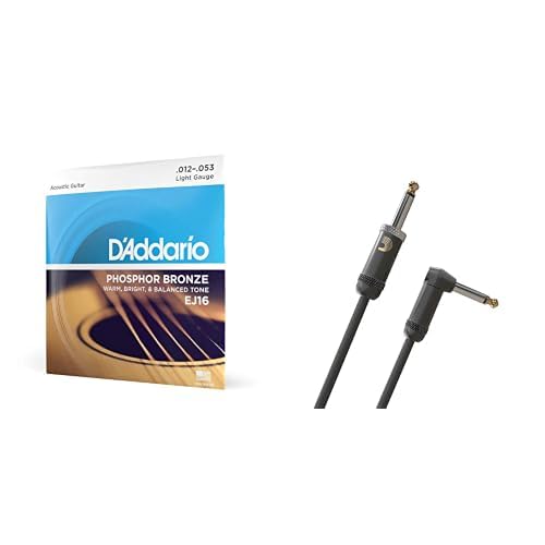 D'Addario EJ16 Phosphor Bronze Guitar Strings 12-53 Light with D'Addario American Stage Instrument Cable 6m