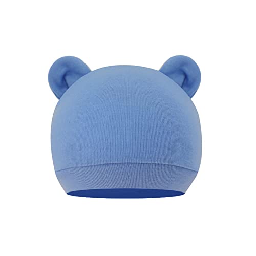 [KYXKHSAA] xr[XqjZbNXca@Lbv킢gȃN}̖XqVj̎q̎q킢cXq