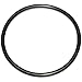 HS002 O-Ring for Heat Sink, 2in