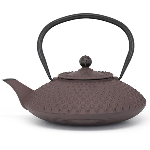 Bredemeijer Tetera plana de hierro fundido Asia de 1,25 litros, color berenjena, gran jarra esmaltada para inducción con filtro de acero inoxidable