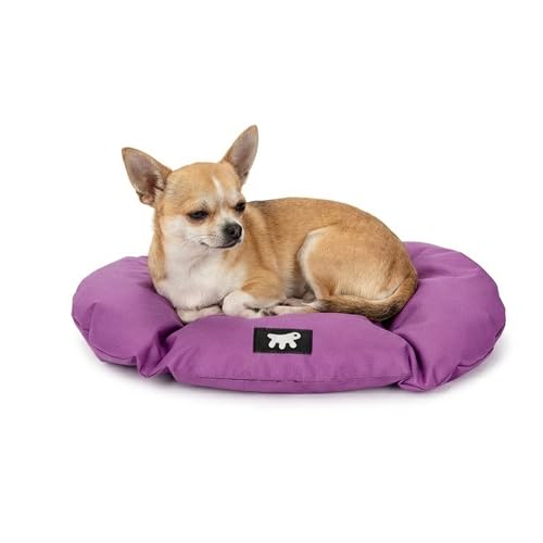 Ferplast Cuccia Cane e Gatto Antigraffio e Impermeabile, Tessuto Tecnico Resistente, Taglia Piccola RELAX TECH, Lavabile in Lavatrice a 30°, 43 x 30 x 3 cm, Viola