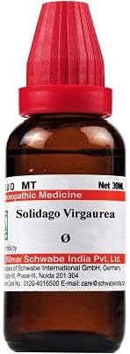 Willmar India Solidago Virgaurea 1X (Q) (30ml)
