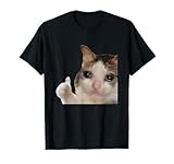 Funny Cute Crying Cat Sad Tears Thumbs Up Meme Gen Z Humor T-Shirt