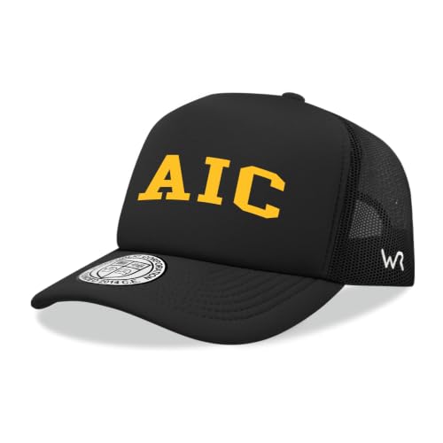 W Republic American International College Yellow Jackets miniatura 1