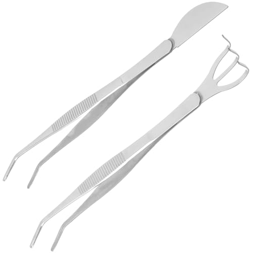 Cabilock 1 Ensemble De Pinces À Bonsaï Outils Pour Bonsaï Pinces À Épiler Succulentes Grattoir À Bonsaï Pince À Épiler Pour L'Artisanat Petit Râteau Pince À Râteau De Jardin Outil