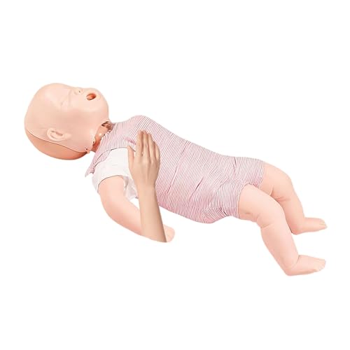 C[ǃf SxhPl` f C }uV~[V pg[jOl` ~}~ wK Kp