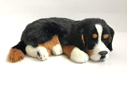 Do bernese mountain dogs make good pets